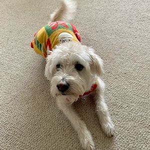 Meet your Posher, Jenna